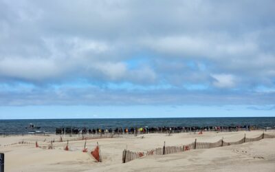 2025: Ludington Area Senior Center